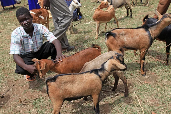 Yerel uganda, Afrika pazarı — Stok fotoğraf