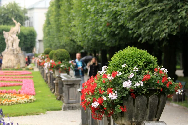 Mirabell bahçeleri - salzburg, Avusturya — Stok fotoğraf