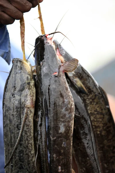 Úszó halászfalu - Uganda, Afrika — Stock Fotó