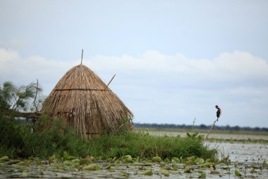köy - uganda, Afrika balıkçılık yüzüyor