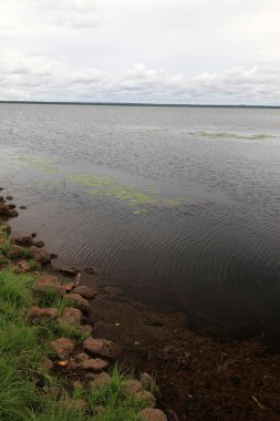 Göl manzara - göl bisina - uganda, Afrika
