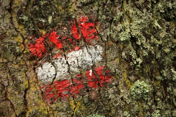 Trail Marker Austria — Stock Photo, Image