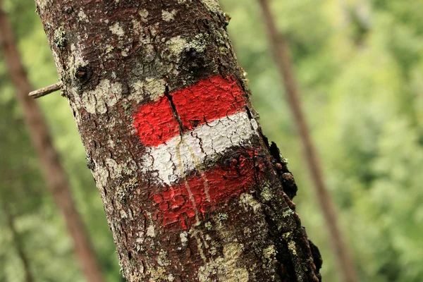 Trail Marker Австрия — стоковое фото