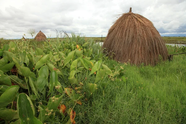 Plovoucí rybářské vesnice - uganda, Afrika — Stock fotografie