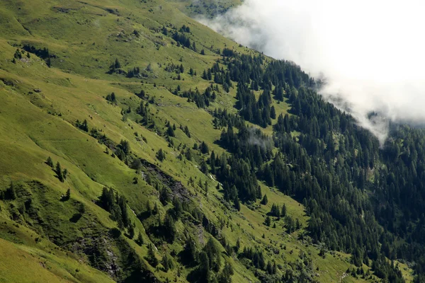 Hügel in den Bergen — Stockfoto