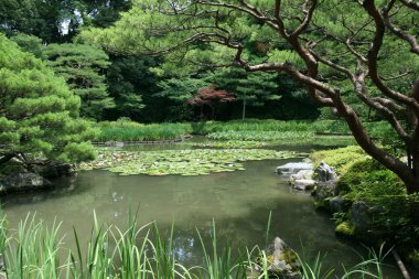 Bahçe - heian Tapınağı, kyoto, Japonya