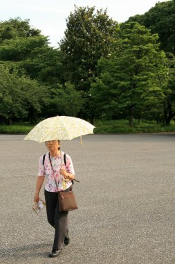 Doğu Sarayı bahçeleri, tokyo, Japonya