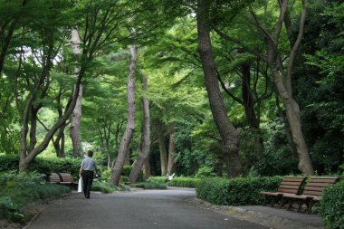 Doğu Sarayı bahçeleri, tokyo, Japonya