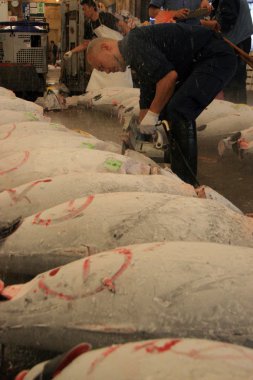 Tsukiji Balık pazarı, tokyo, Japonya