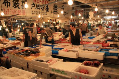 Tsukiji Balık pazarı, tokyo, Japonya