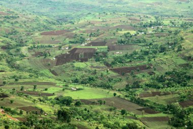 kırsal manzara - uganda, Afrika