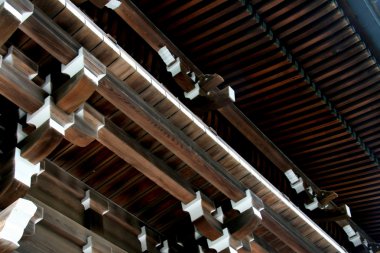 Meiji Tapınak, tokyo, Japonya