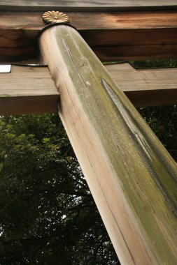 Gate - meiji Tapınak, tokyo, Japonya