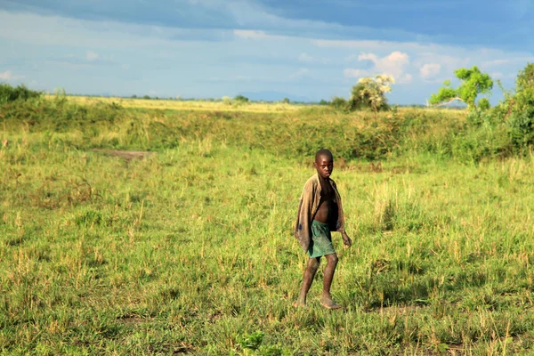 Prado no Lago Anapa - Uganda, África — Fotografia de Stock