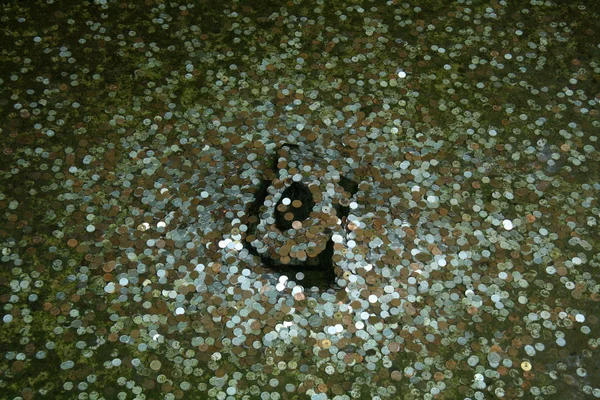 Coins in Pool of Water - Ginkakuji Temple, Kyoto, Japan — Stock Photo, Image