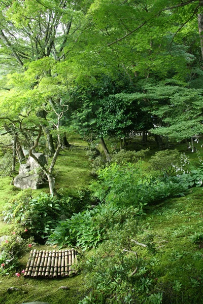 Jardín Japonés - Templo Ginkakuji, Kioto, Japón —  Fotos de Stock