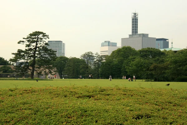 Ανατολικό παλάτι κήπους, Τόκιο, Ιαπωνία — Φωτογραφία Αρχείου