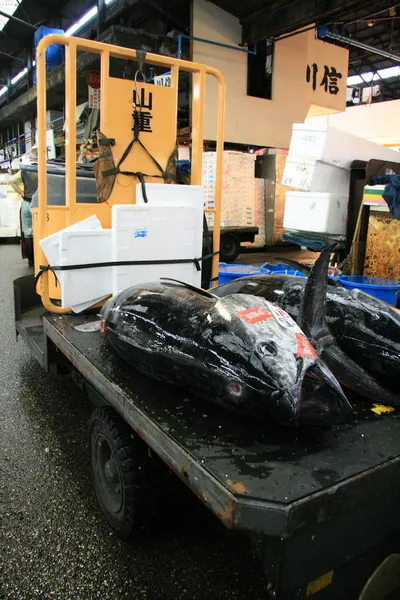 Tsukiji rybí trh, tokyo, Japonsko — Stock fotografie