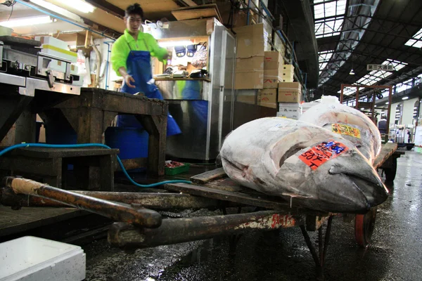 Tsukiji halpiac, Tokyo, Japán — Stock Fotó