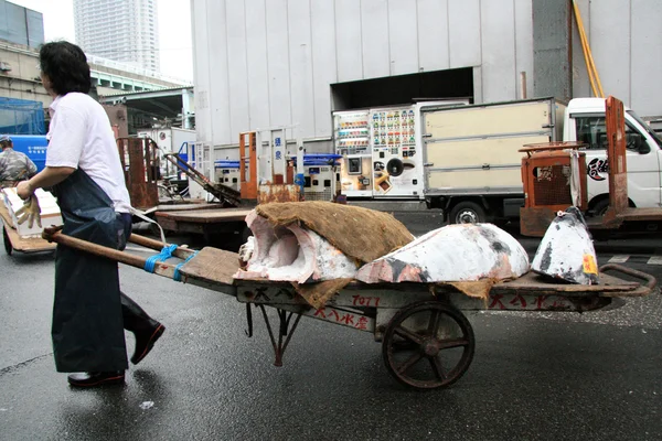 Fisch im Einkaufswagen - Tsukiji Fischmarkt, Tokio, Japan — Stockfoto