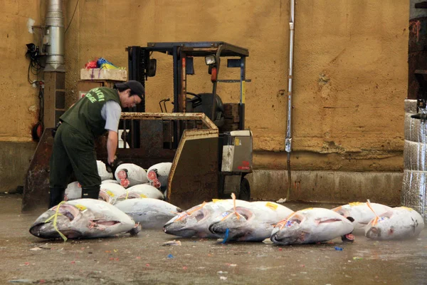 Mercado de pescado de Tsukiji, Tokio, Japón — Foto de Stock