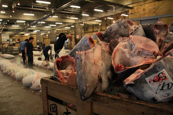 Mercado de pescado de Tsukiji, Tokio, Japón — Foto de Stock