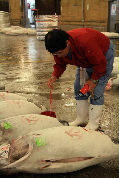 Mercato del pesce Tsukiji, Tokyo, Giappone — Foto Stock