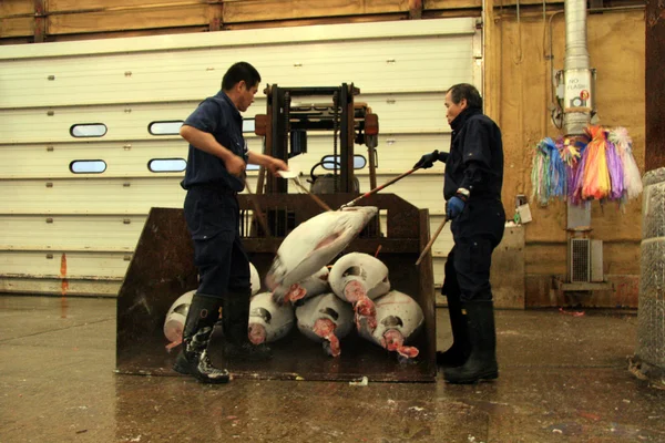 Tsukiji halpiac, Tokyo, Japán — Stock Fotó