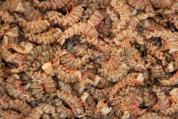 Tsukiji Fish Market, Tokyo, Japan — Stock Photo, Image