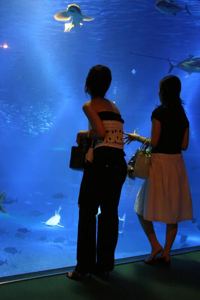 Osaka Aquarium Interior, Osaka, Japón —  Fotos de Stock