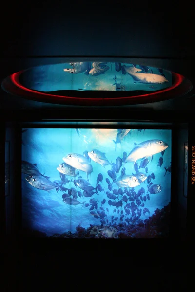 Osaka Aquarium Interior, Osaka, Japón —  Fotos de Stock