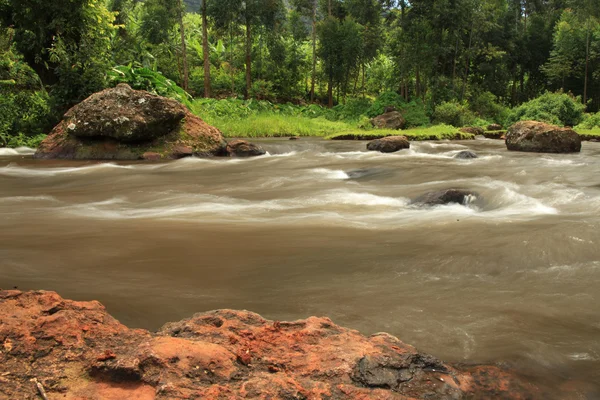 Kelime falls - uganda, Afrika — Stok fotoğraf