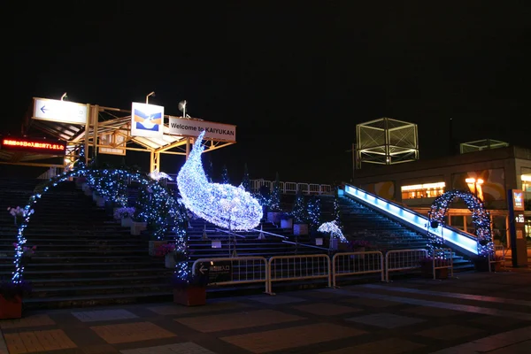 Osaka akvárium, osaka, Japonsko — Stock fotografie