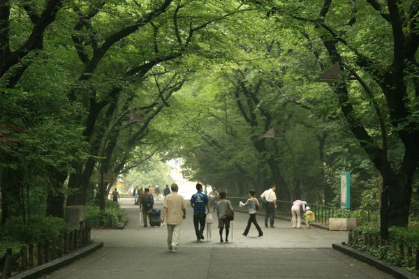 Ueno park, tokyo, japan — Stockfoto