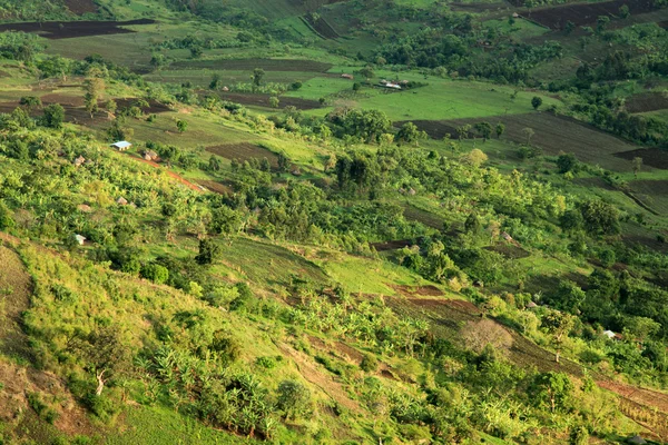 Kırsal manzara - uganda, Afrika — Stok fotoğraf