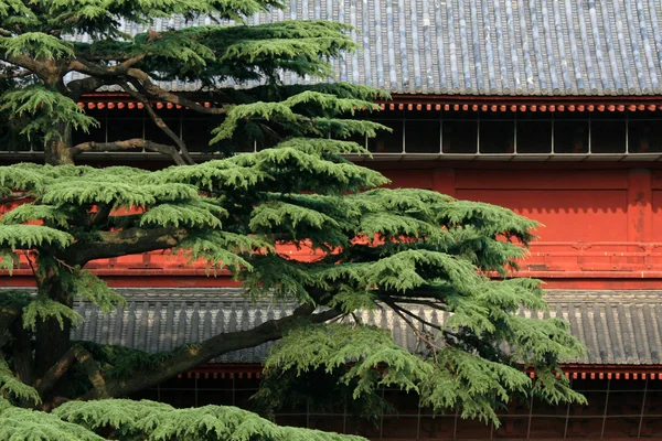 Zojoji 神社，东京，日本 — 图库照片