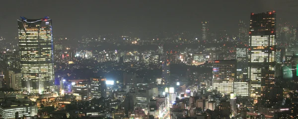 Panoráma města, hlavní město Tokio, Japonsko — Stock fotografie