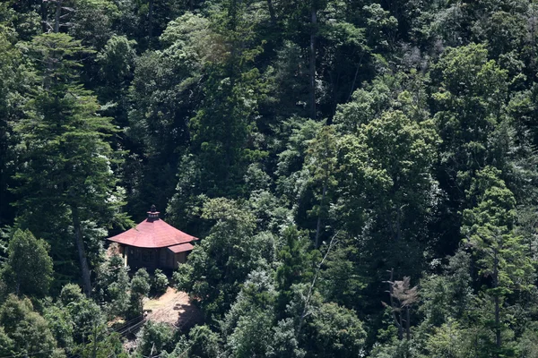 Huis in bos - mt misen, miyajima, japan — Stockfoto