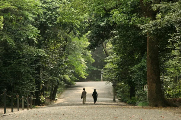 Meiji Tapınak, tokyo, Japonya — Stok fotoğraf