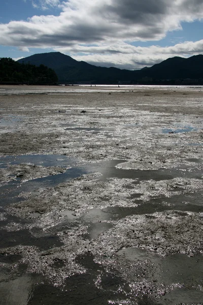 Appartamenti di fango a bassa marea - Miyajima, Giappone — Foto Stock