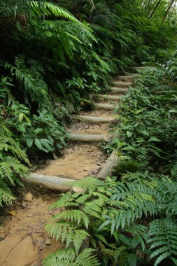 adımlar - mariyudo şelale trek, Iriomote Adası, okinawa, japan