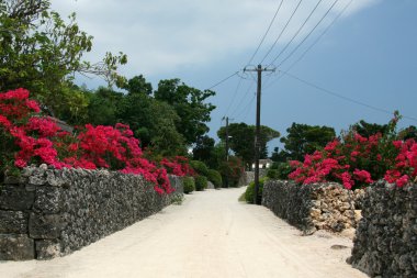 taketomi Island, okinawa, japan