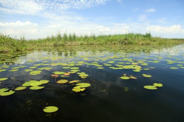 huzurlu lake ayarı - uganda, Afrika