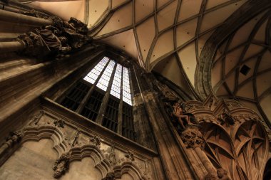 stephansdom, st stephens Katedrali'ne, Viyana