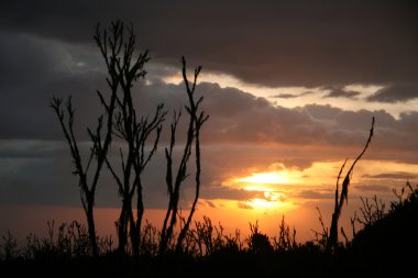 MT kilimanjaro, Tanzanya, Afrika