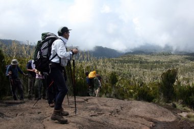 MT kilimanjaro, Tanzanya, Afrika