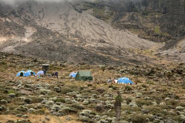 MT kilimanjaro, Tanzanya, Afrika