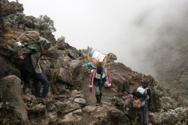 MT kilimanjaro, Tanzanya, Afrika