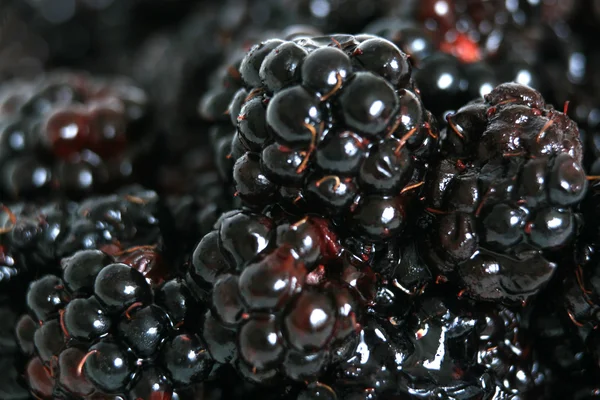 Fresh Ripe Blackberry - Healthy Eating — Stock Photo, Image