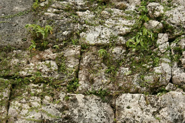 Castillo de Shuri, Naha, Okinawa, Japón — Foto de Stock